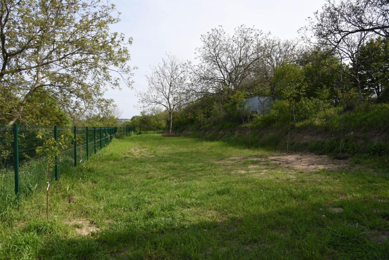 Vila Kraljev Breg Fruska Gora Cortanovci Exterior photo